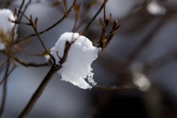 α77 + Sonnar T＊ 135mm F1.8 ZA