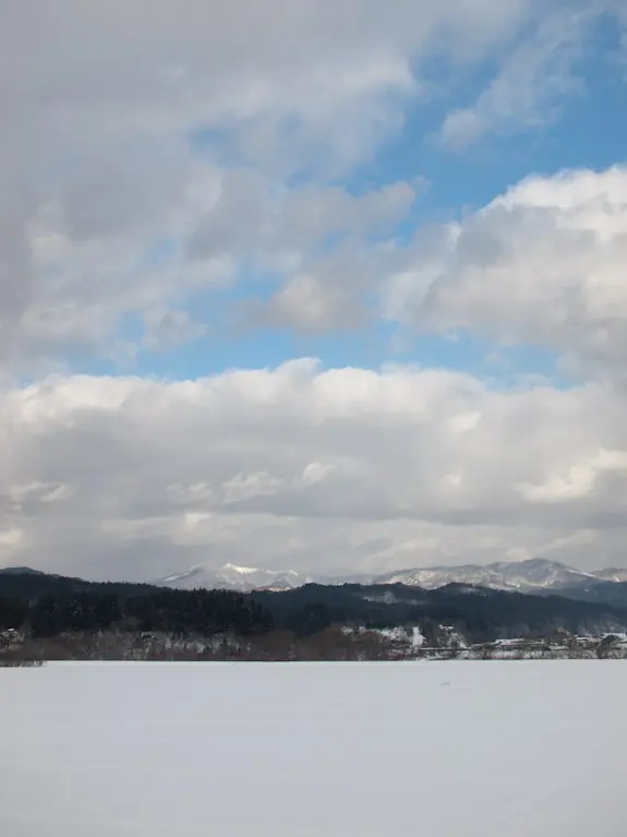 ZD 25mm F2.8