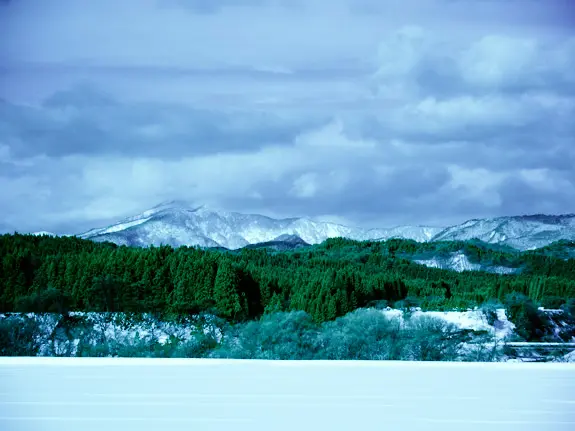 赤外線フィルター false color