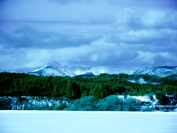 赤外線フィルター false color