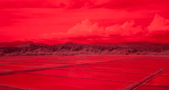 赤外線写真