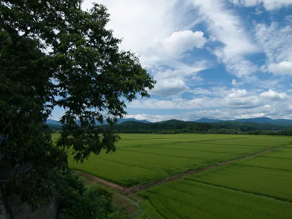 ZD 11-22mm F2.8-3.5
