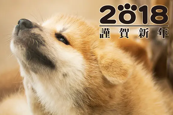 2018年賀