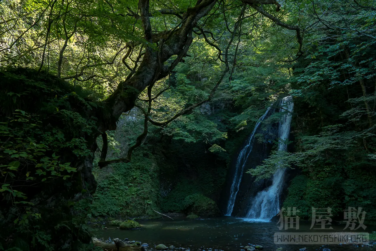 SONY FE24-105mm F4 G OSS