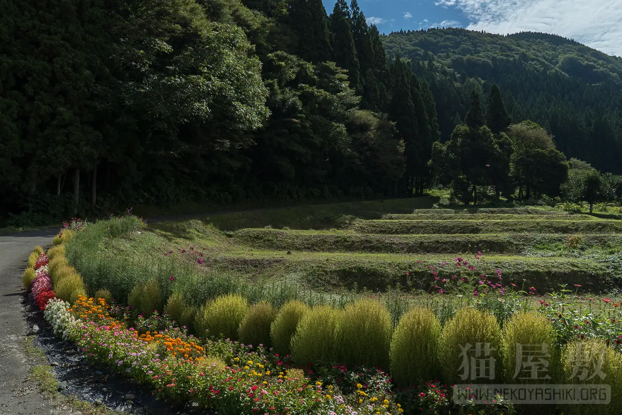 SONY FE 28mm F2