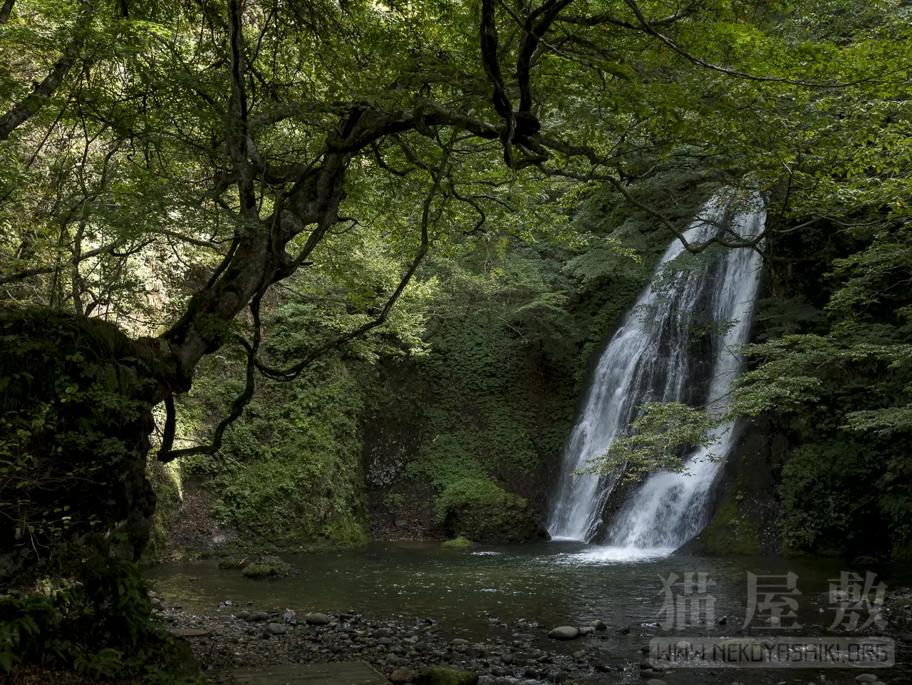 Panasonic LUMIX G 20mm/F1.7 II ASPH.