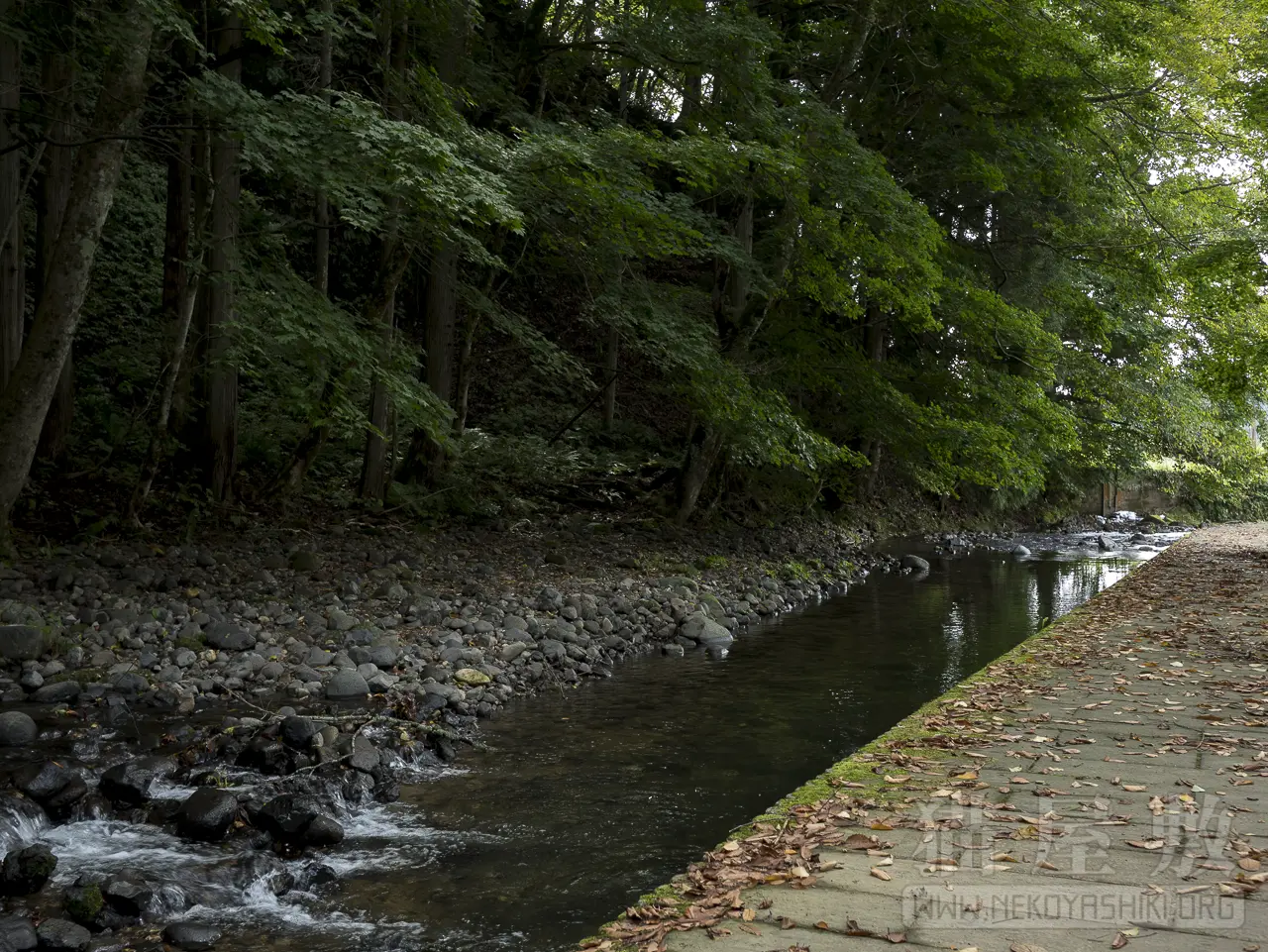 Panasonic LUMIX G 20mm/F1.7 II ASPH.