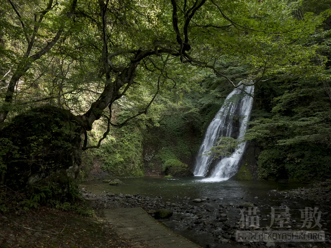 Panasonic LUMIX G 14mm/F2.5 ASPH.